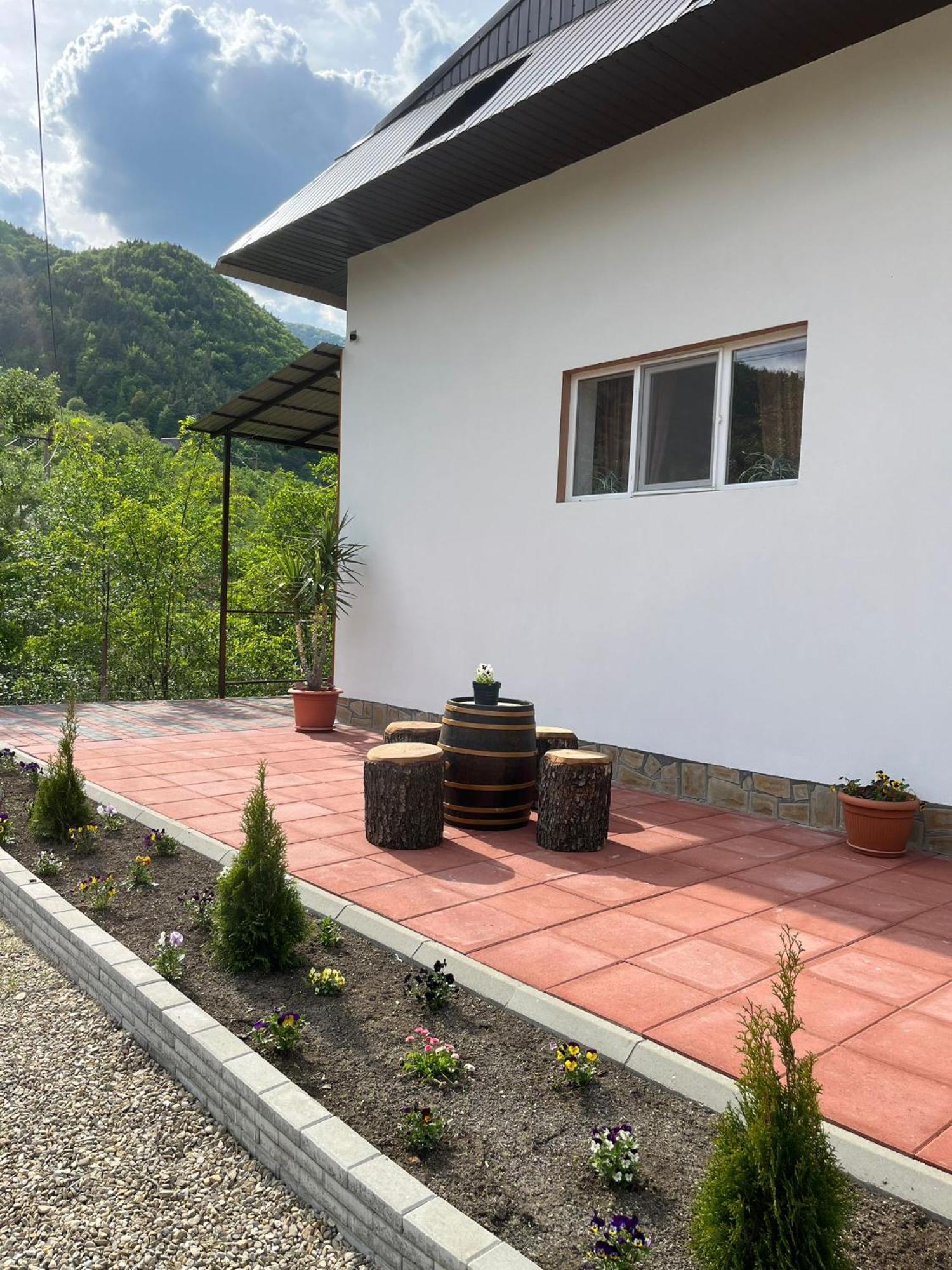 Hostal Casa Vio Nehoiu Exterior foto