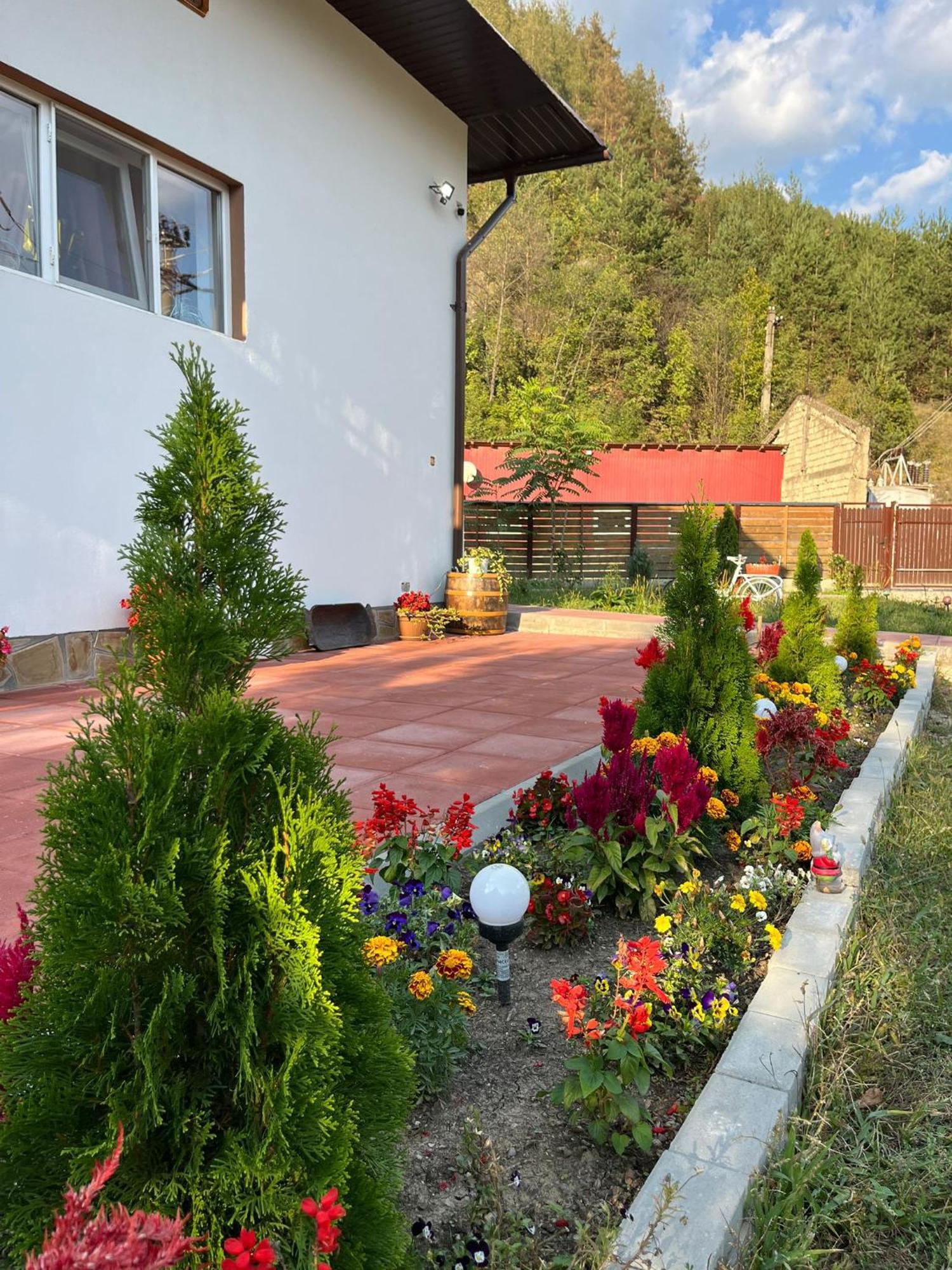Hostal Casa Vio Nehoiu Exterior foto